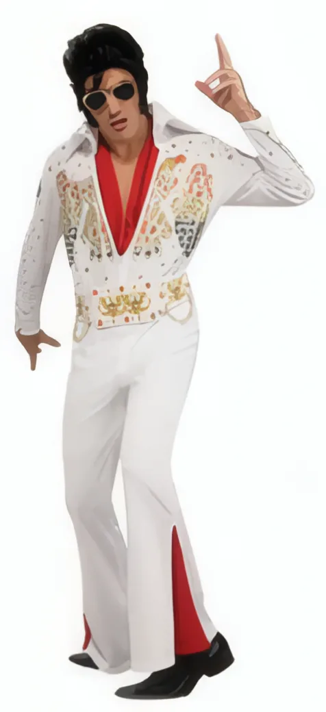 Disfraz de Elvis Presley
